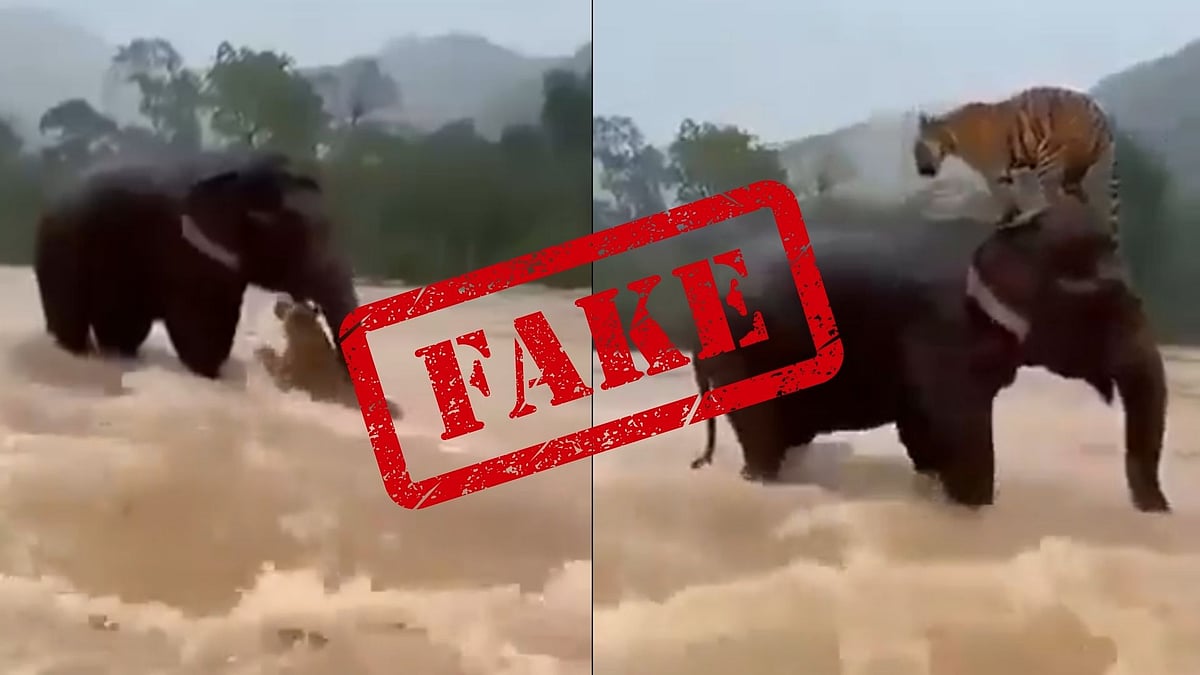 Viral Video Of Elephant Rescuing Tiger Is AI-Generated