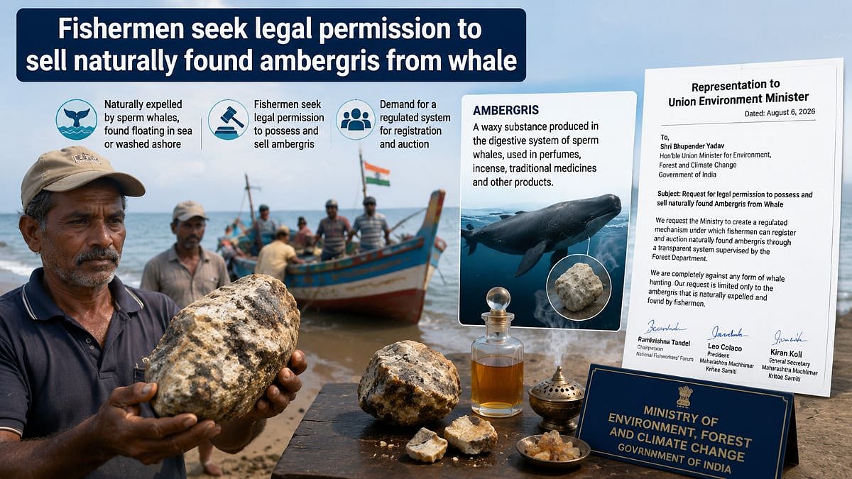 Mumbai Fishermen Seek Ambergris Sale Permission
