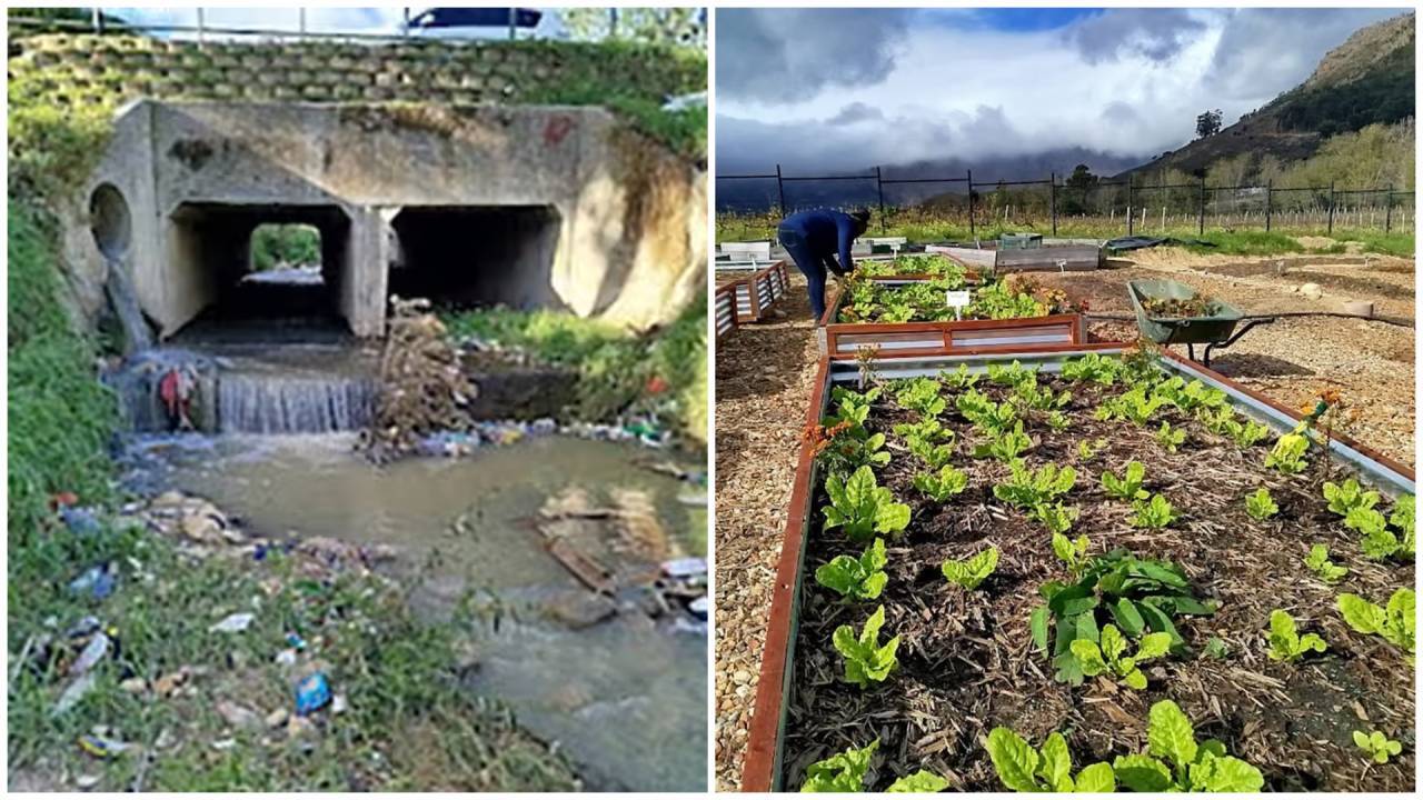 Cape Town Project Purifies 36,000L River Water Daily