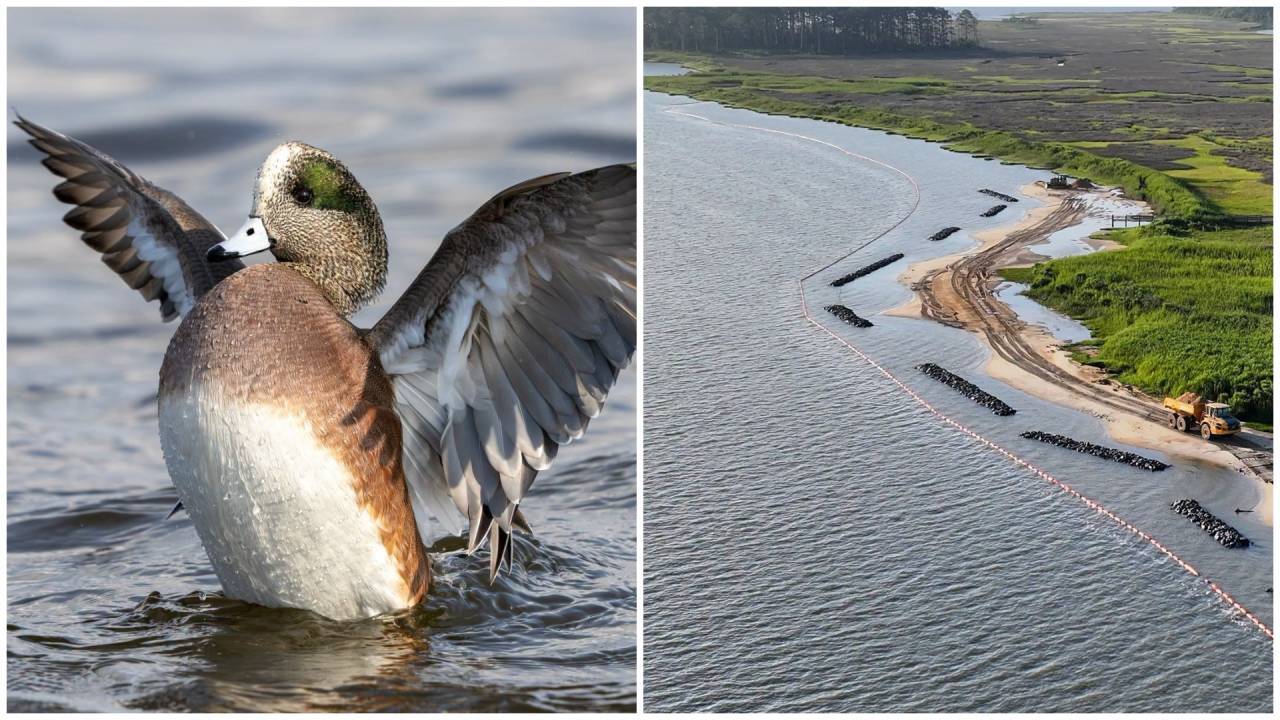 Virginia Restores Ragged Island Shoreline in $8M Project