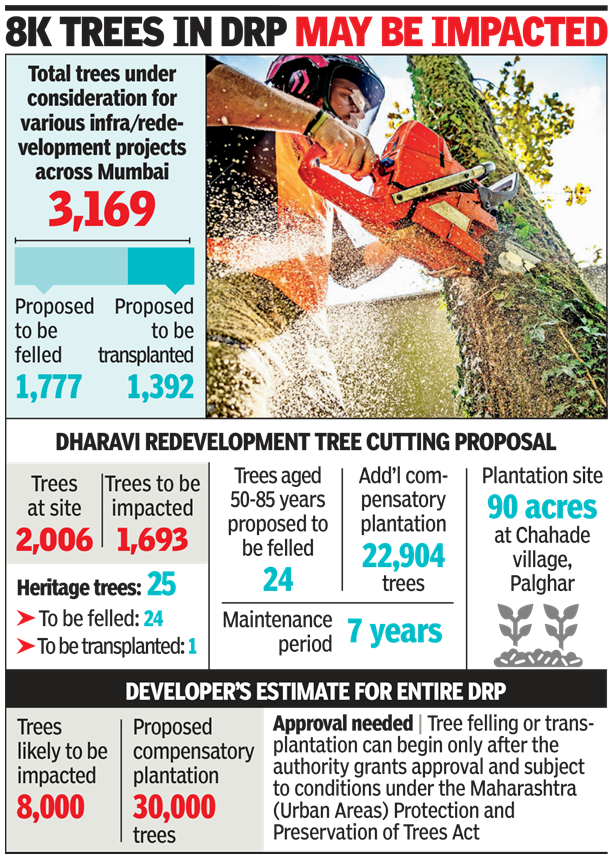 BMC Panel Decides Fate of 3169 Trees in Dharavi