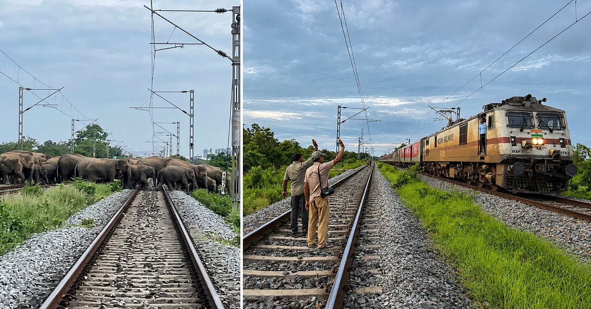 NFR Ensures Elephant Safety on Railway Tracks in Assam