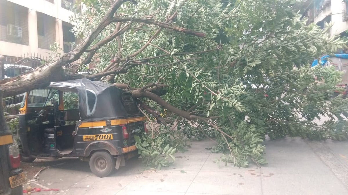 Tree Falls On Auto-Rickshaw In Thane's Kalwa