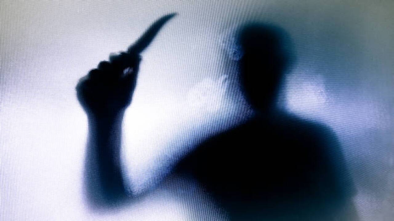 Gut Bacteria Linked to Psychopathic Behavior