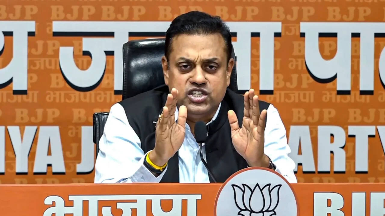 BJP Rejects Rahul Gandhi's Protest Claims
