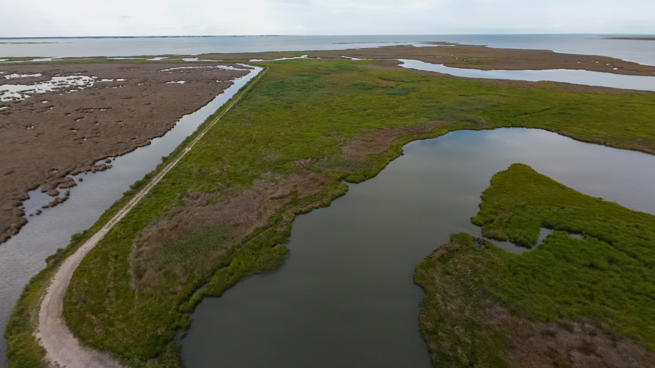 Maryland Creates 70 Acres of Wetland from Dredged Sand