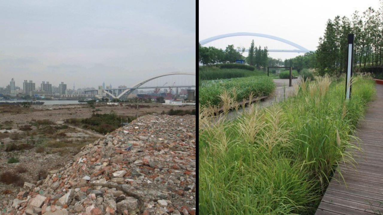 Shanghai's Houtan Park Purifies River Water Daily
