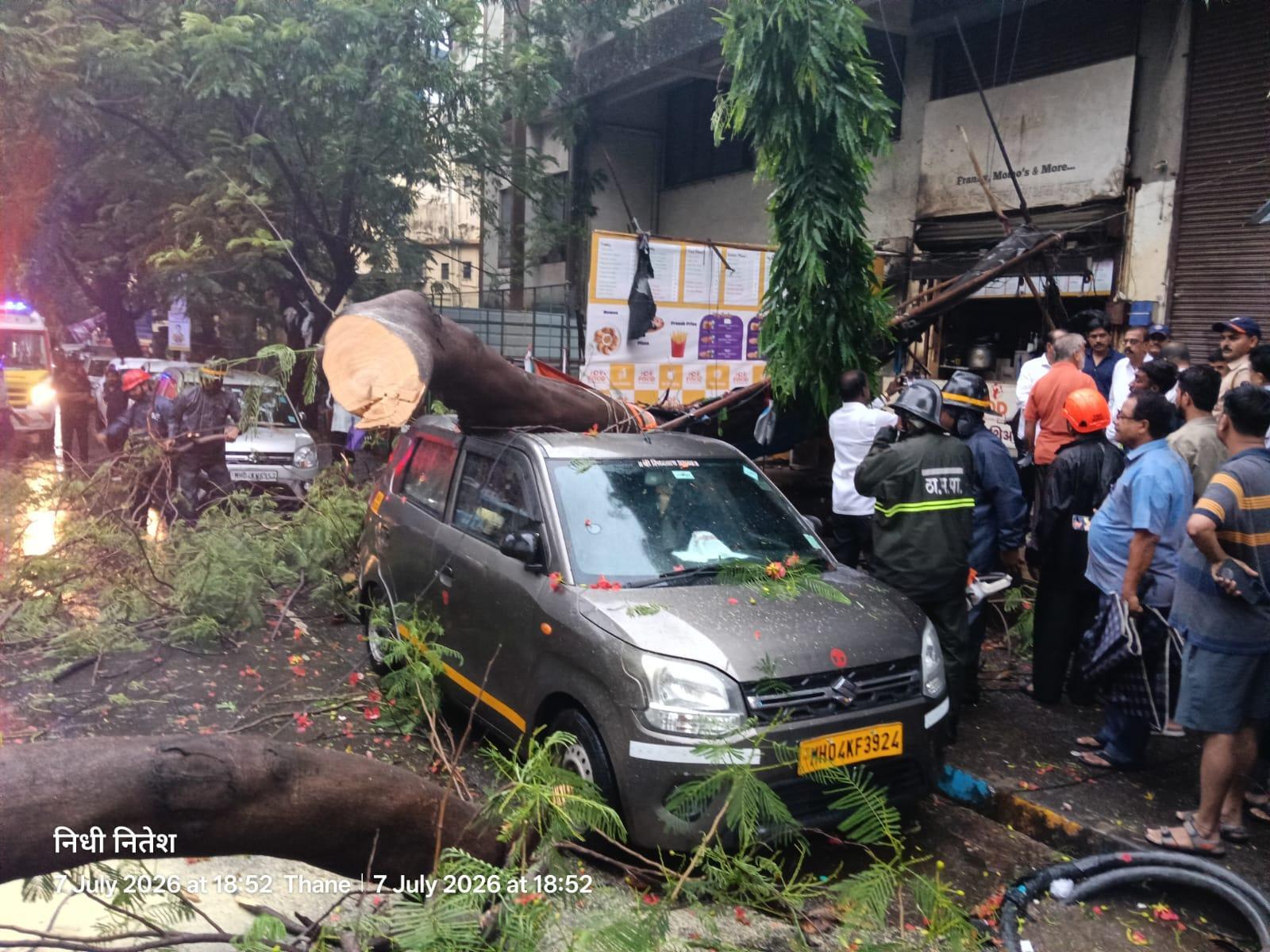 Thane Woman Injured in Tree Fall Amid Heavy Rain