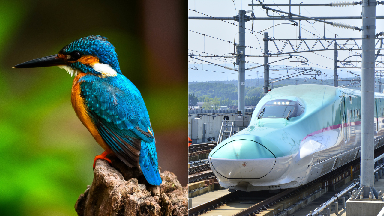 Kingfisher Beak Inspires Japan's Bullet Train