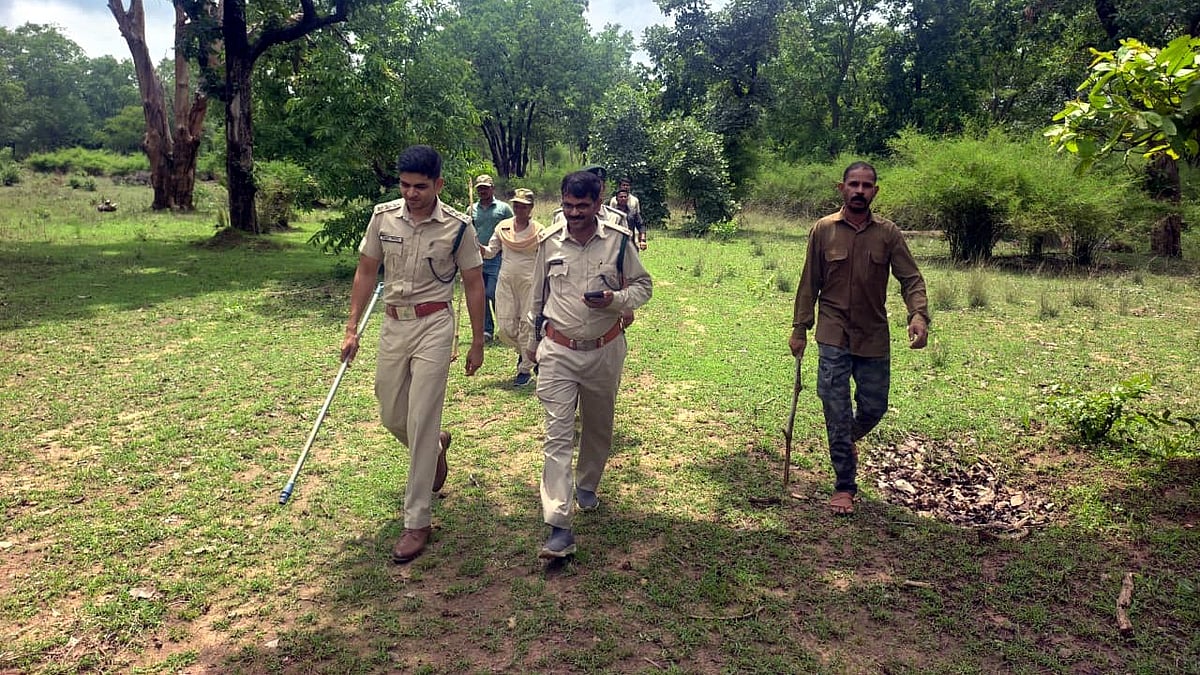 Madhya Pradesh Starts Monsoon Patrolling In Tiger Reserves