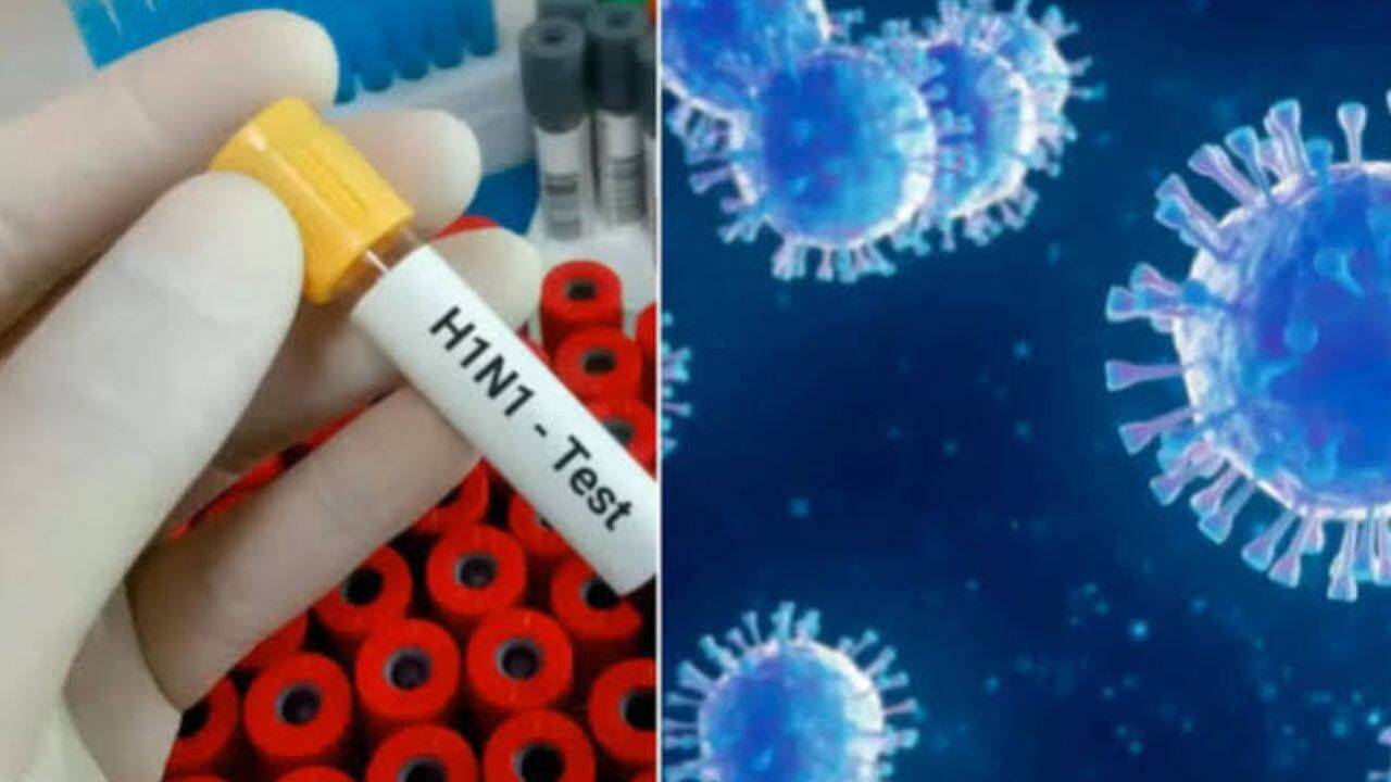 Delhi Reports 138 New H1N1 Cases in 24 Hours