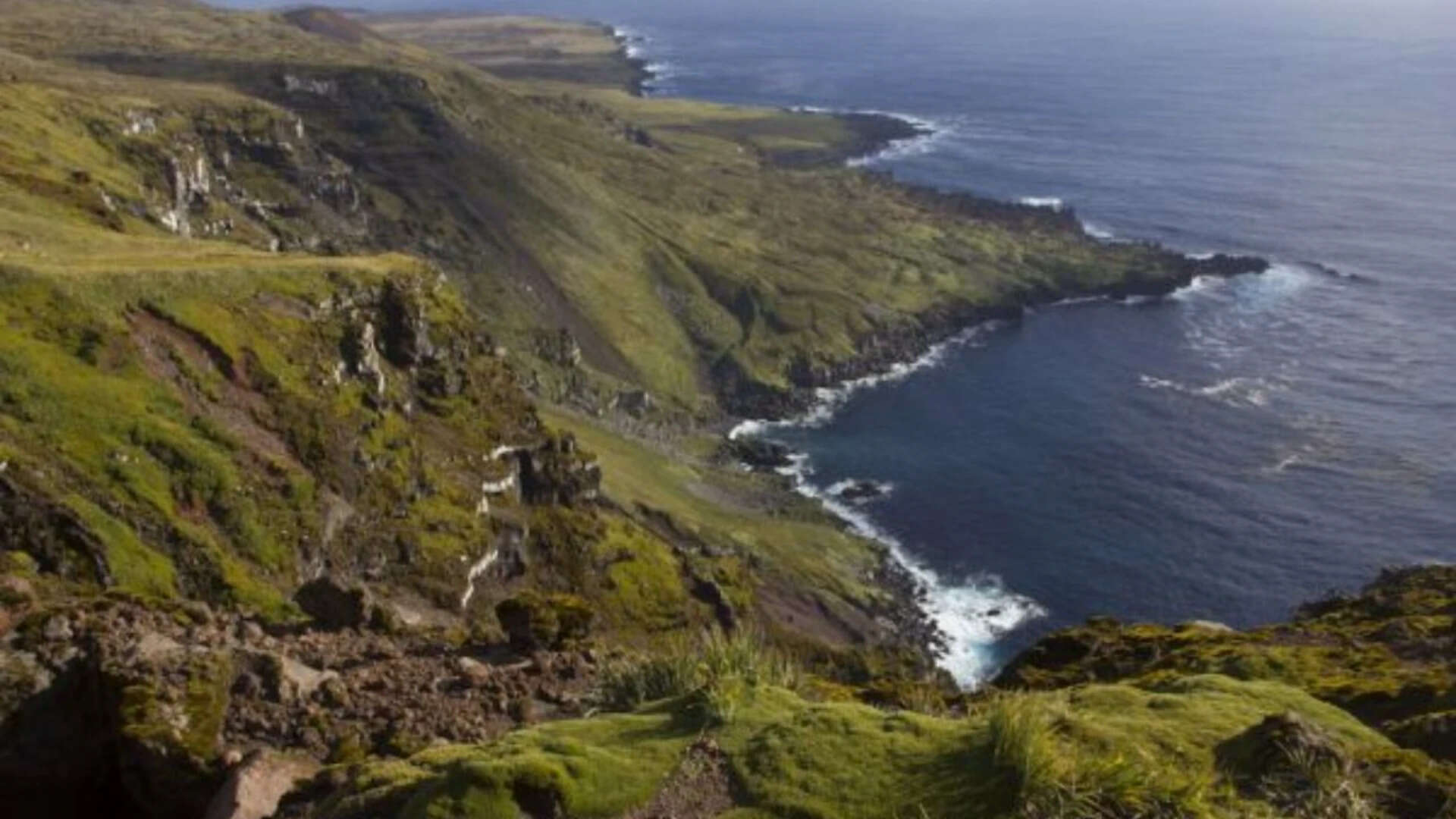 Helicopters to Drop 550 Tons of Poison on Marion Island