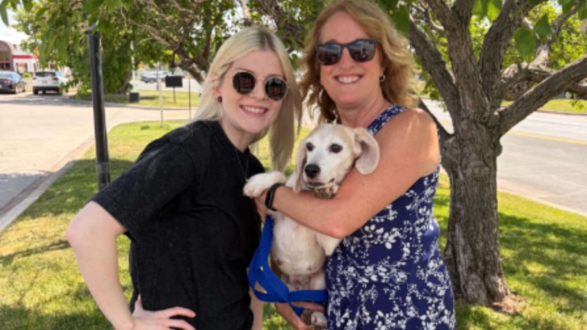 Woman Adopts Rescue Beagle Marshmallow