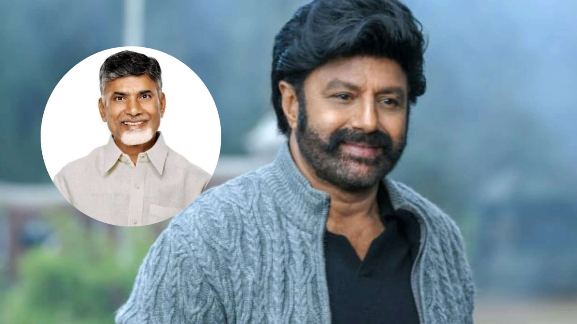 Chandrababu Naidu Visits Balakrishna After Surgery