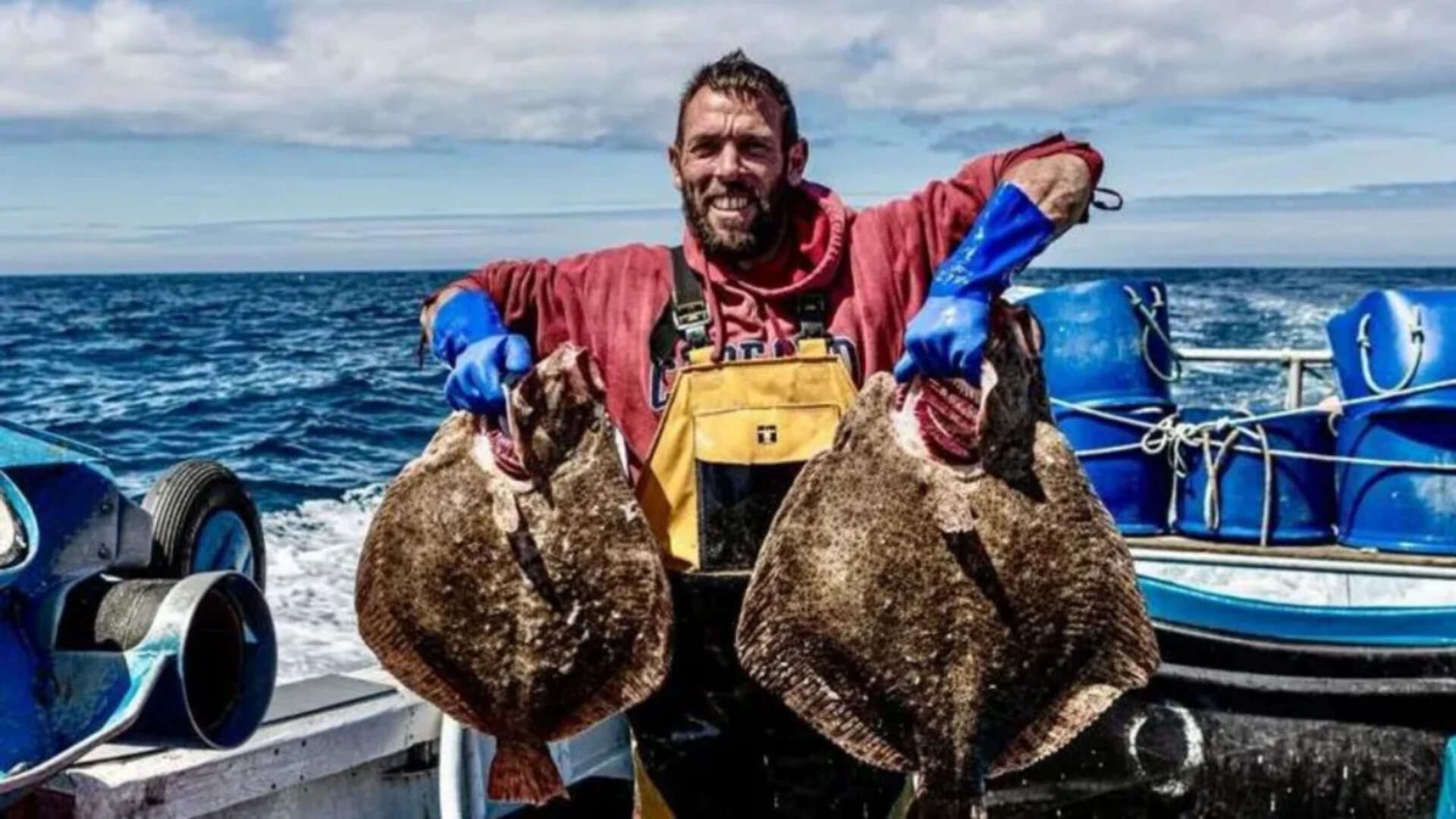 Octopus Invade UK Waters