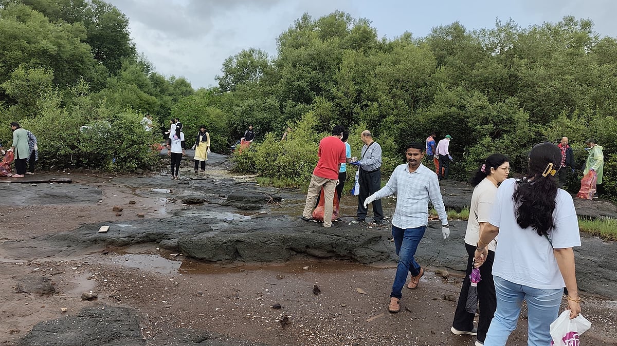 200+ Volunteers Remove 1.5 Tonnes Of Trash From Navi Mumbai Mangroves
