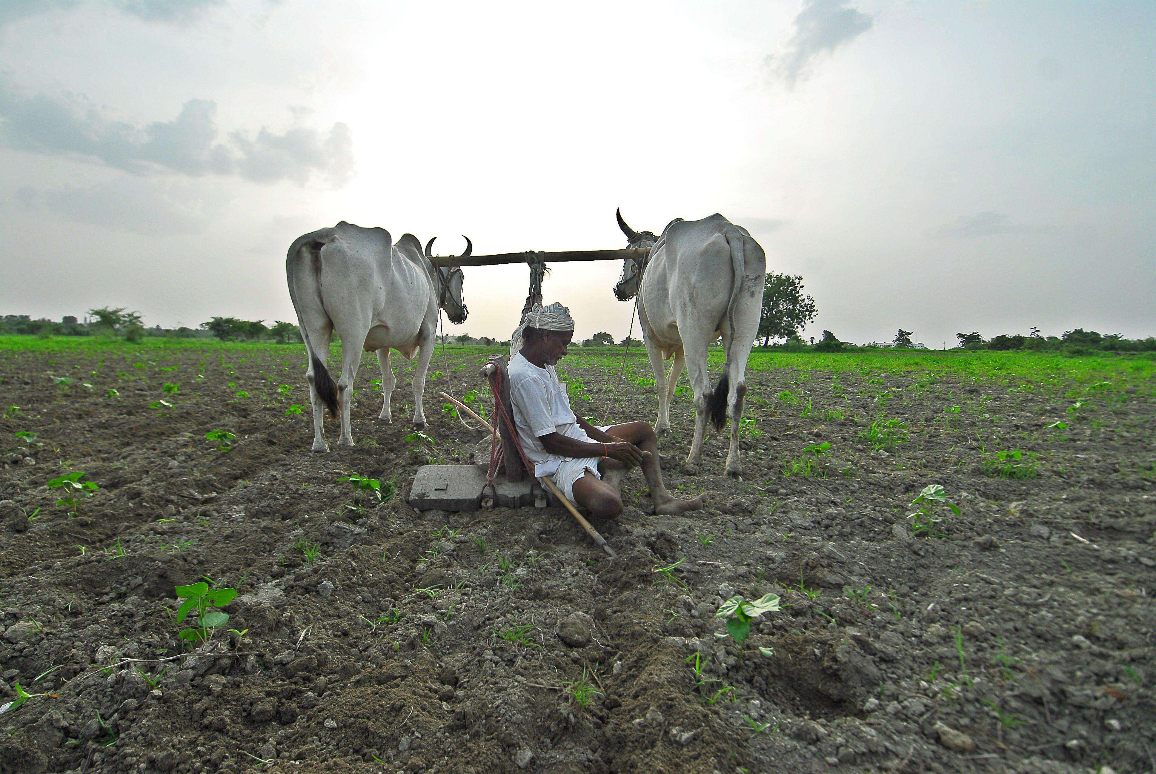 Maharashtra Extends Accident Relief Scheme