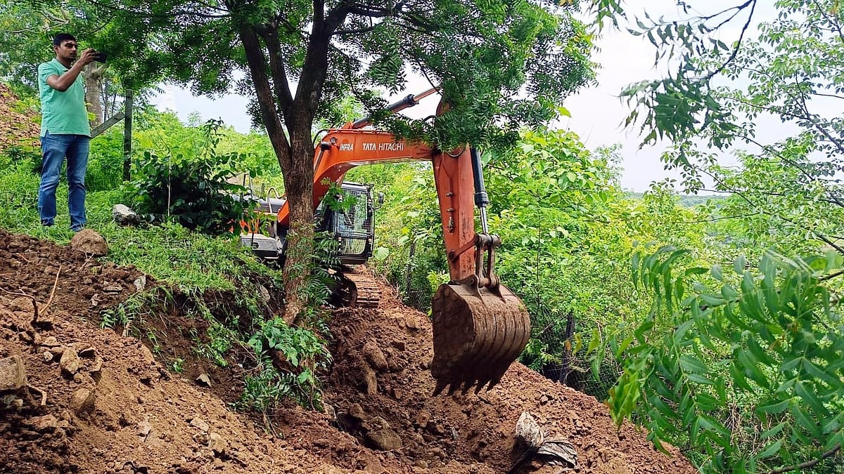 NGT Orders Probe Into Hill Cutting In Bhopal’s Tiger Area