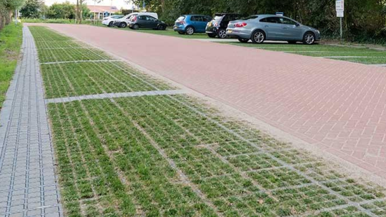 Dutch Cities Use Green Paving Blocks
