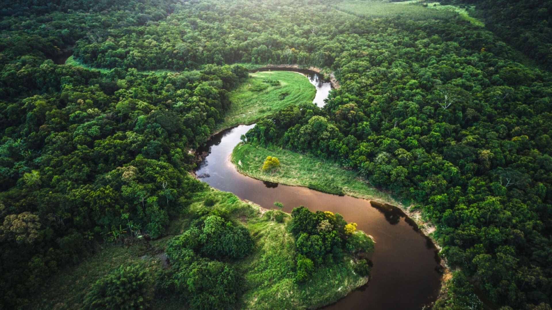 Amazon Soy Pact Collapse Threatens 1.4M Hectares