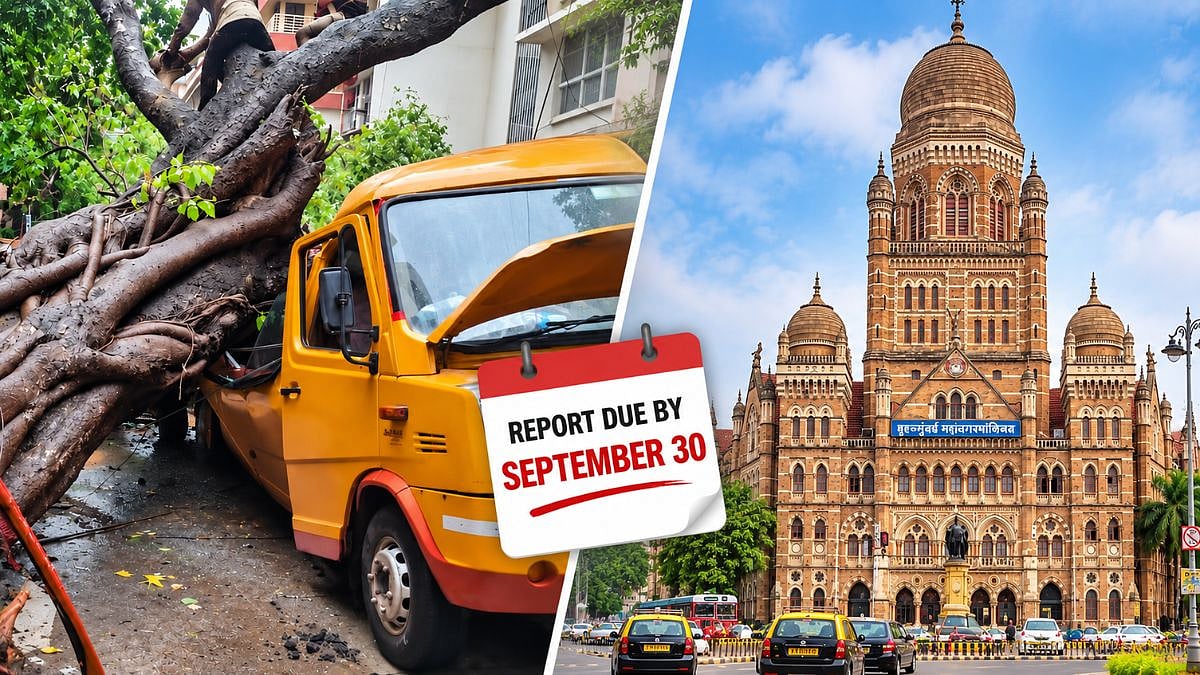 BMC Extends Chembur Tree-Fall Probe Deadline to September 30