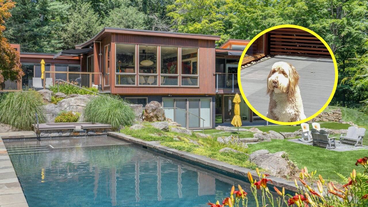 New York Couple Spends $3m on Dog's Dream Home