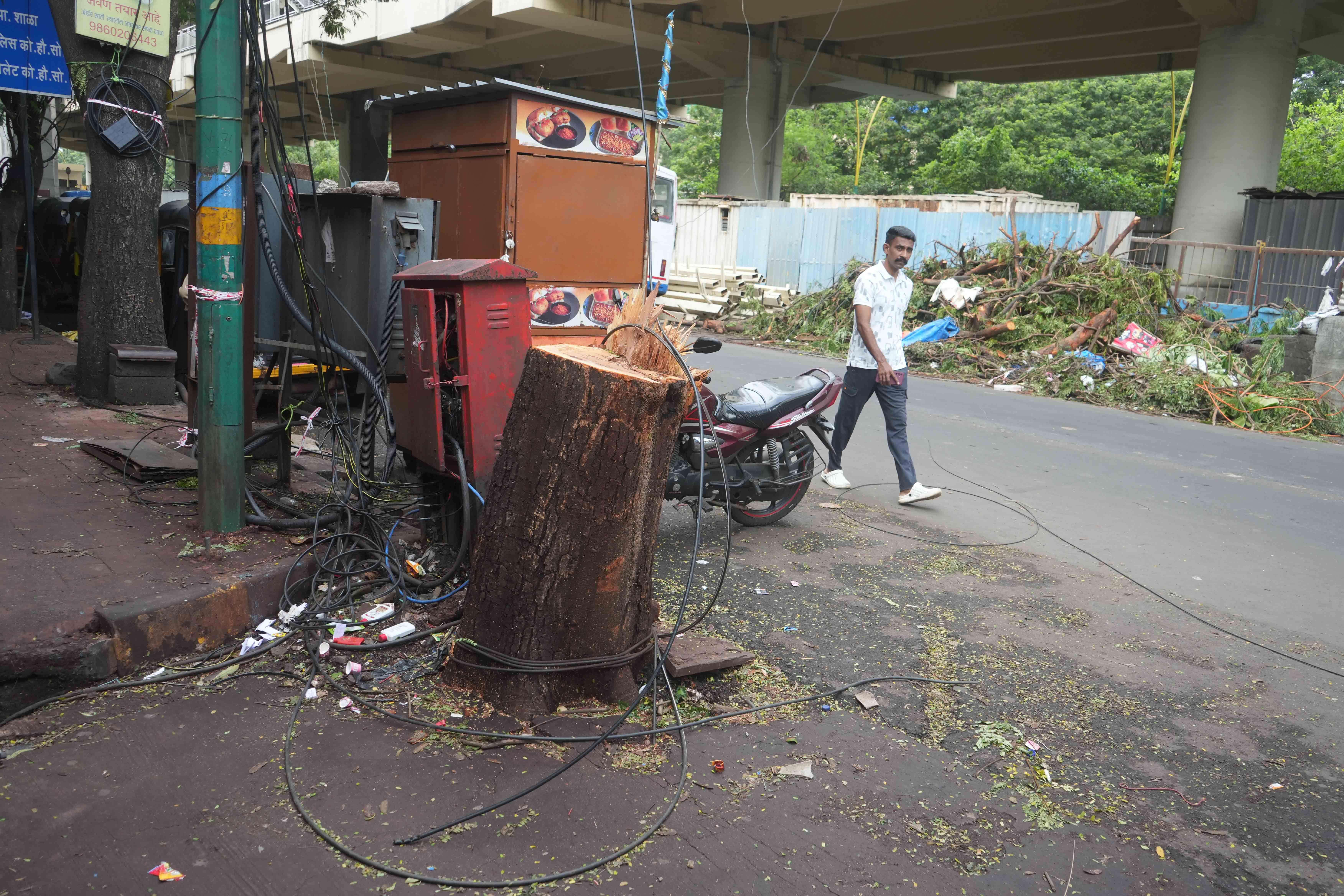 Thane Plumber Dies After Tree Fall