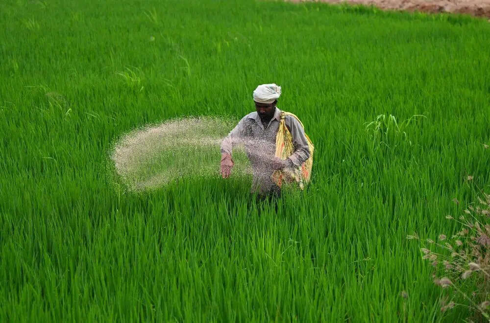 India Imports 32 Lakh Tonnes Fertilizers in Q1