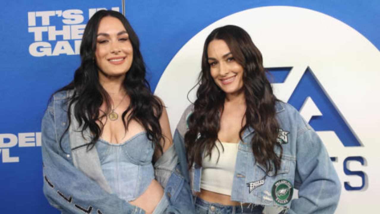 Brie Bella Leads Nikki Bella In Net Worth