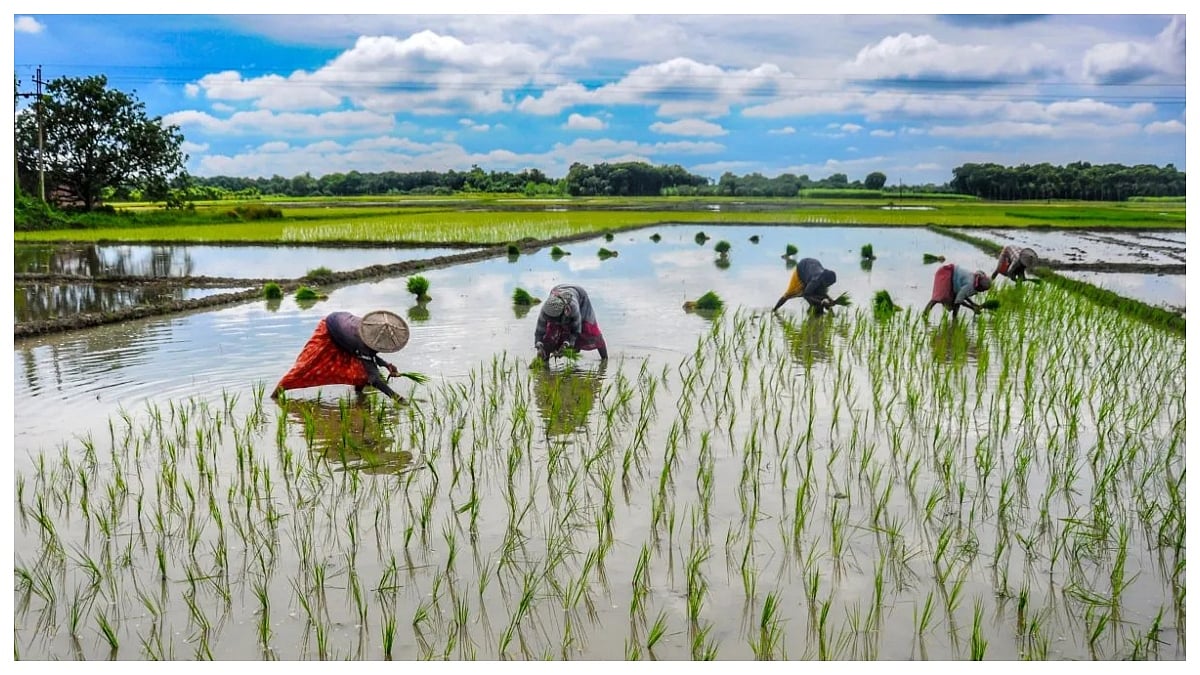 India's Economy Less Dependent On Monsoons
