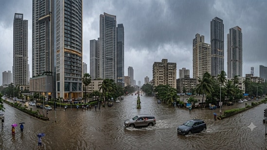 Mumbai Woman's Monsoon Commute Nightmare