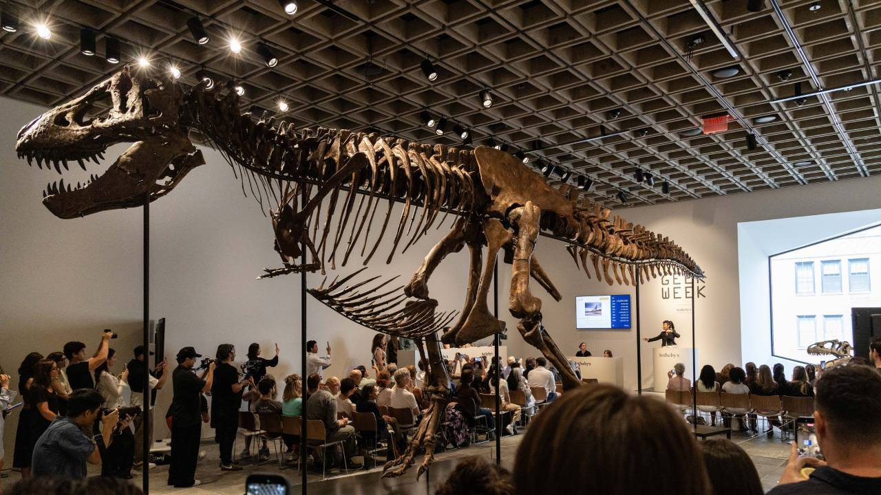 T-Rex Fossil Sells for $50.1 Million
