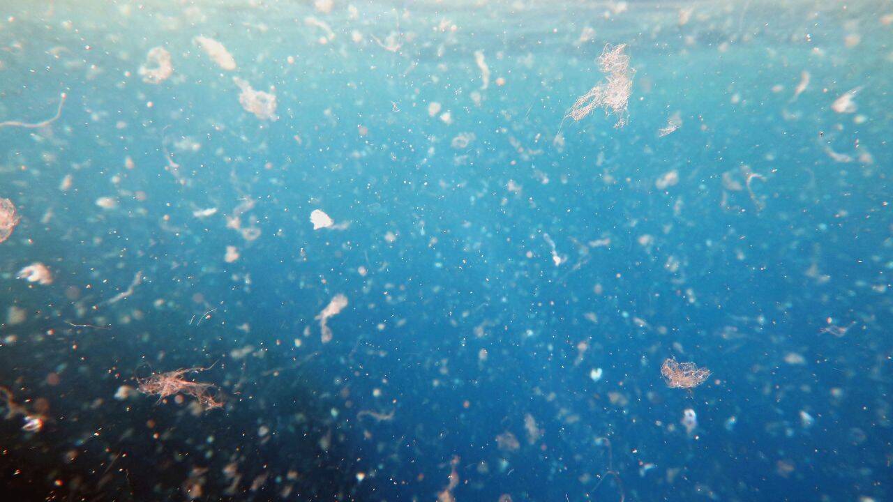 Nanoplastics Aid Harmful Bacteria In Water