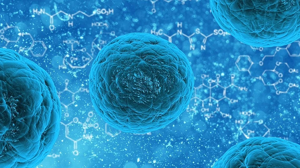 IIT Madras Develops Chemical-Free Antibacterial Surface