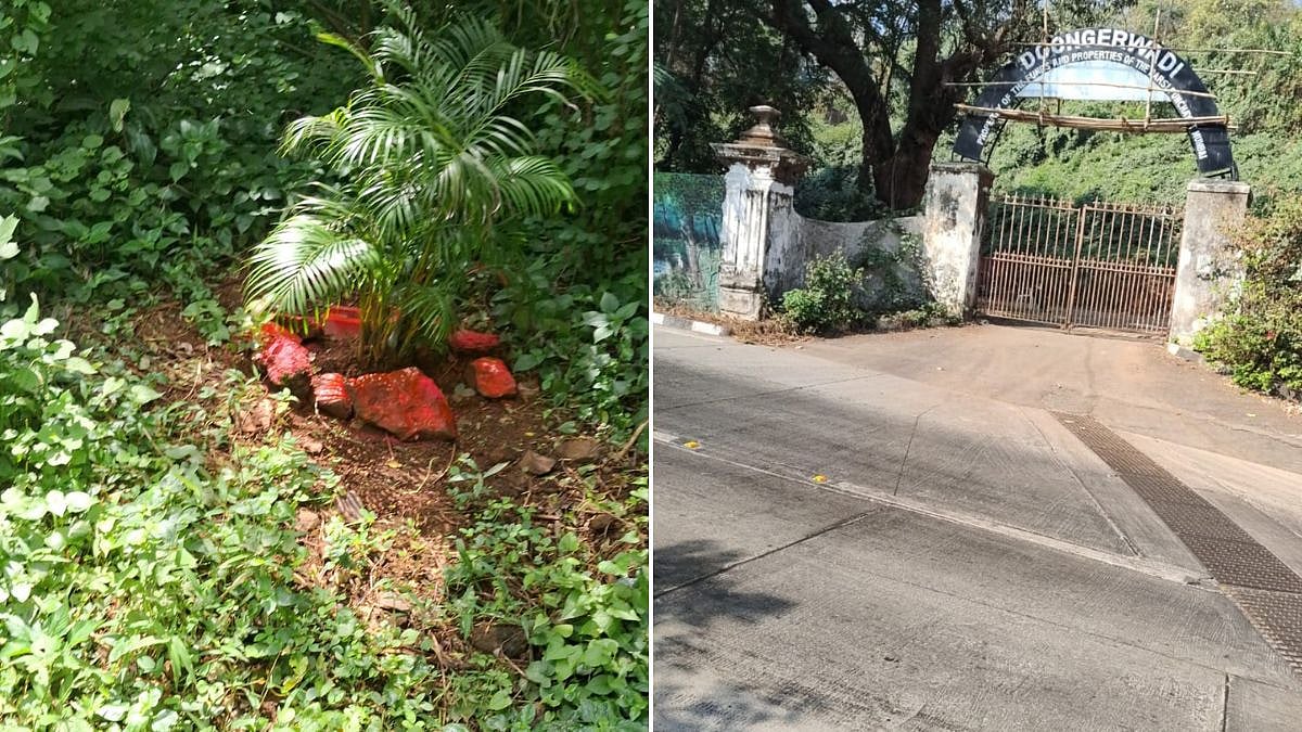 Mumbai Tower Of Silence Red-Painted Stones Spark Pet Burial Concerns