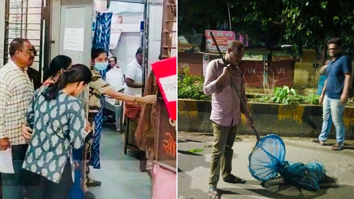 Kalyan Sees 250+ Dog-Bite Cases in 48 Hours