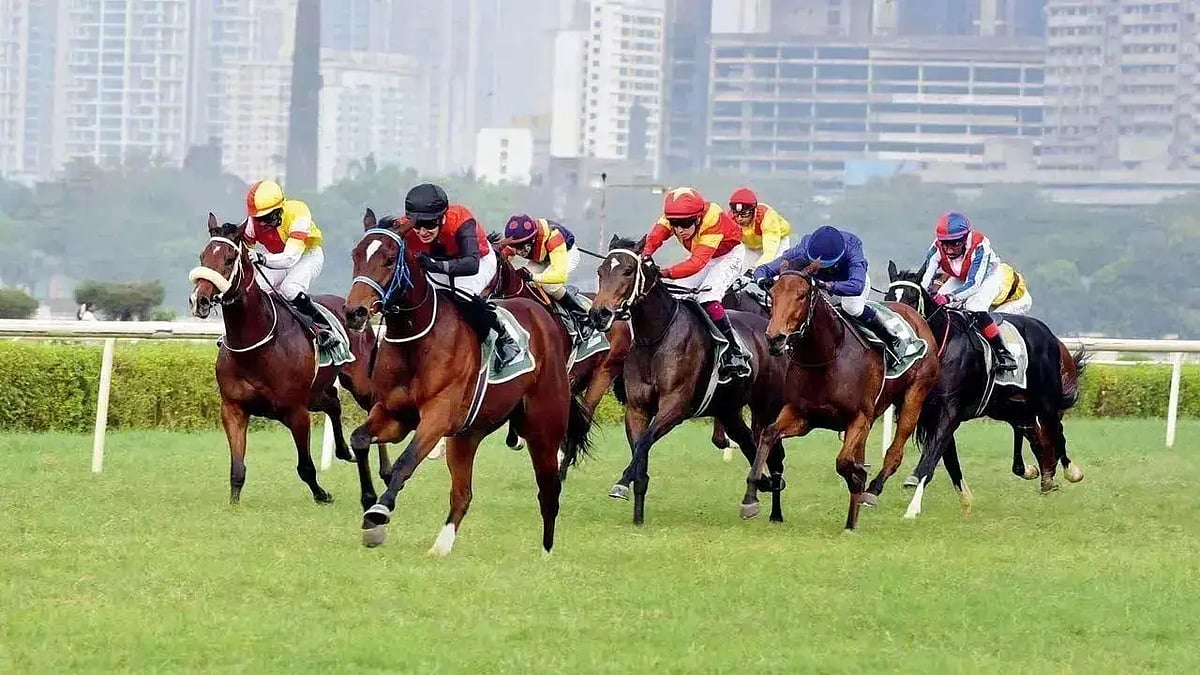 Encino Favored To Win Atomic Prince Plate