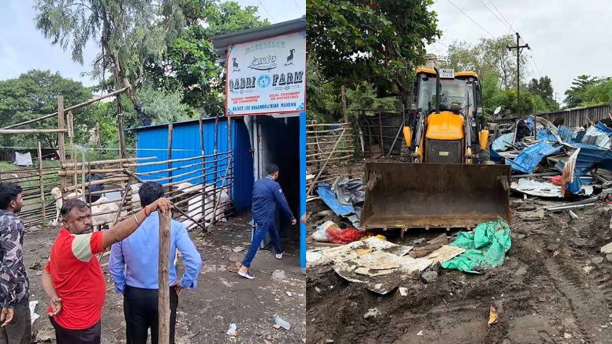 PMC Demolishes Kalamboli Goat Farm Linked To Drug Trade