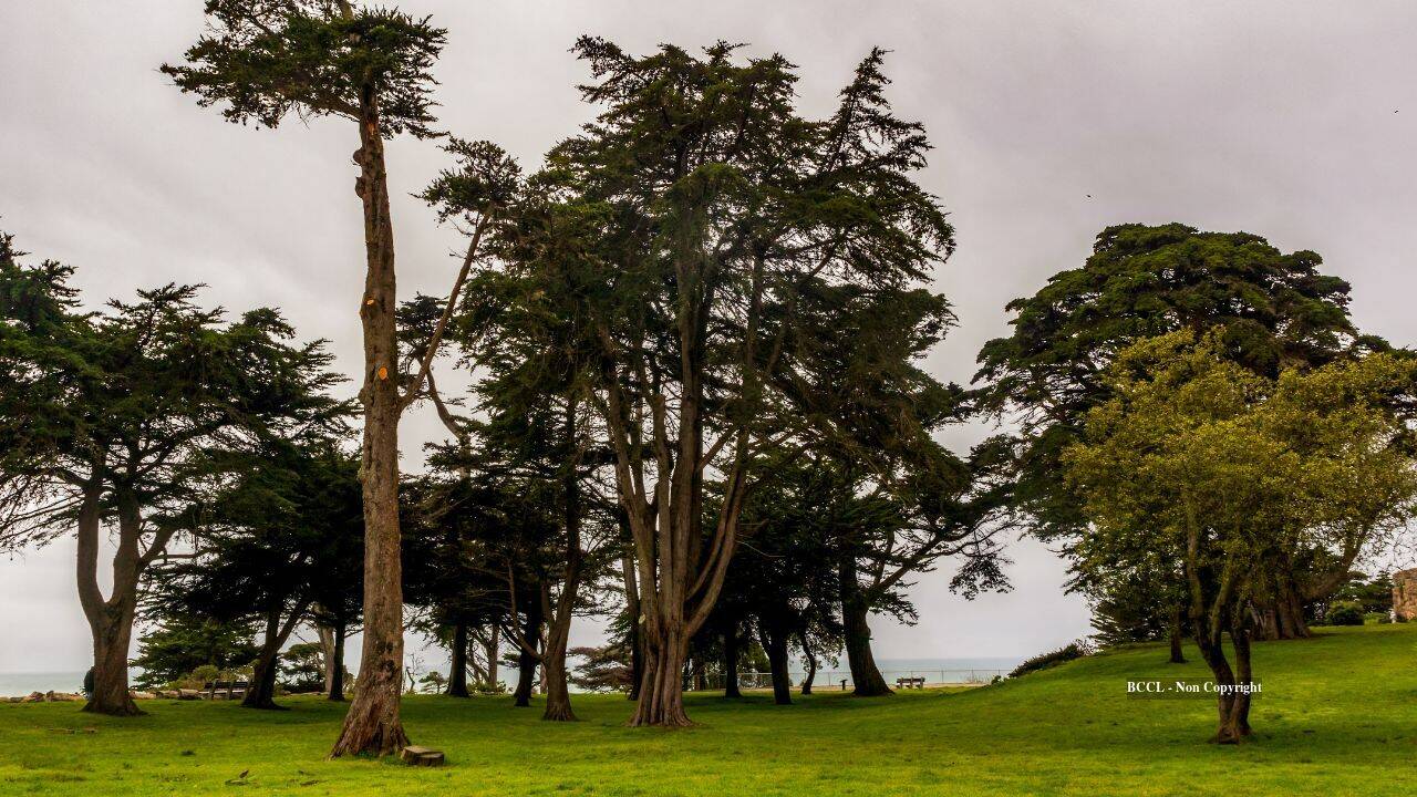 San Francisco Mansion Demolished