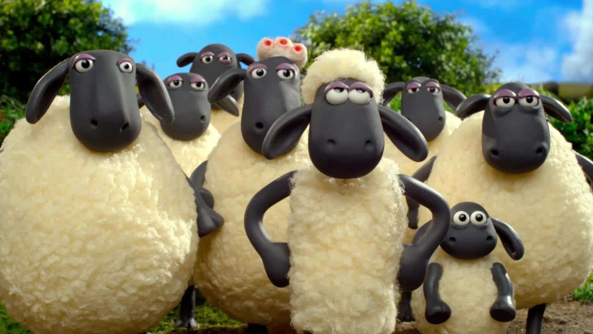 Volkswagen Hires 100 Sheep in Poland