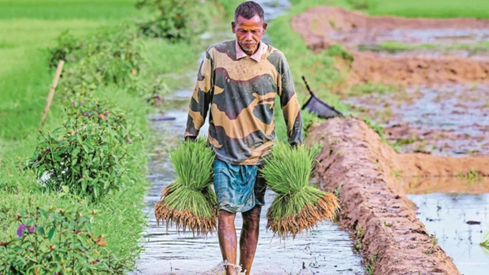 Fadnavis Announces Rs 2 Lakh Waiver For Farmers