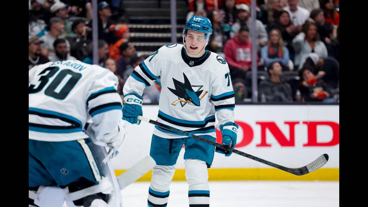 Macklin Celebrini May Captain Sharks