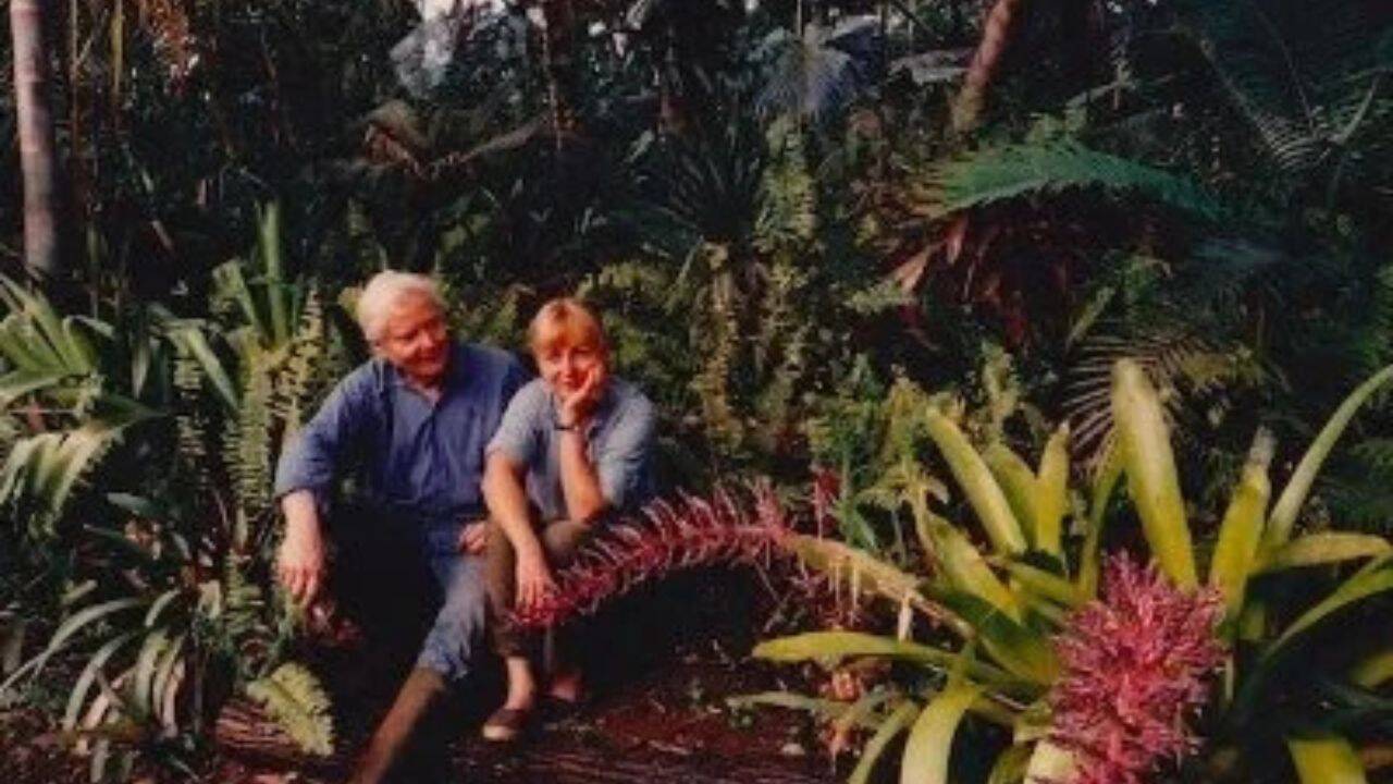 Poet WS Merwin Creates 19-Acre Hawaii Forest