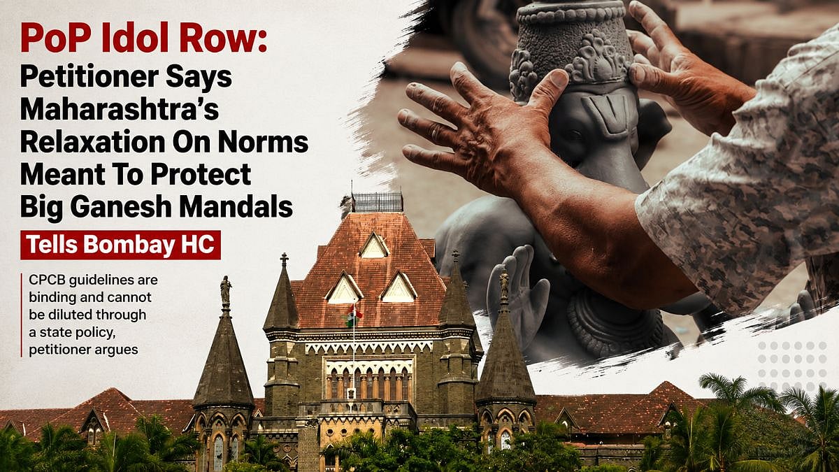 Bombay HC Hears Plea Against PoP Idol Immersion
