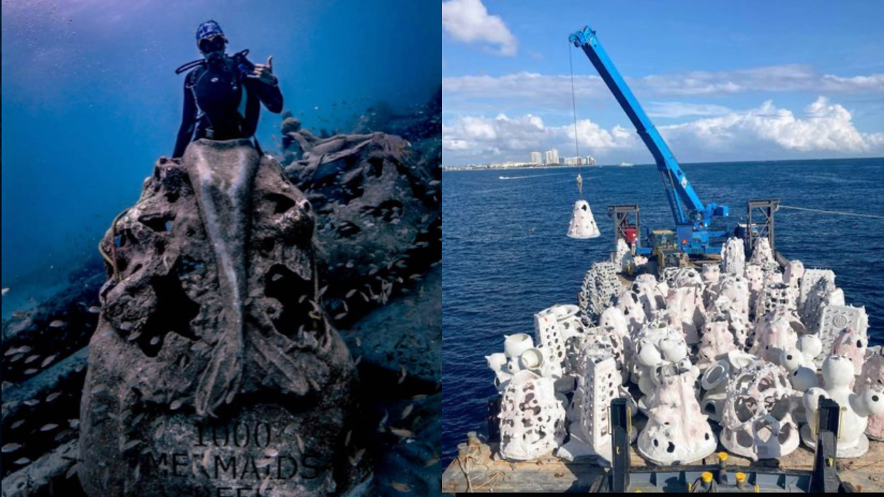 Florida Seabed Transformed with 300 Mermaid Sculptures