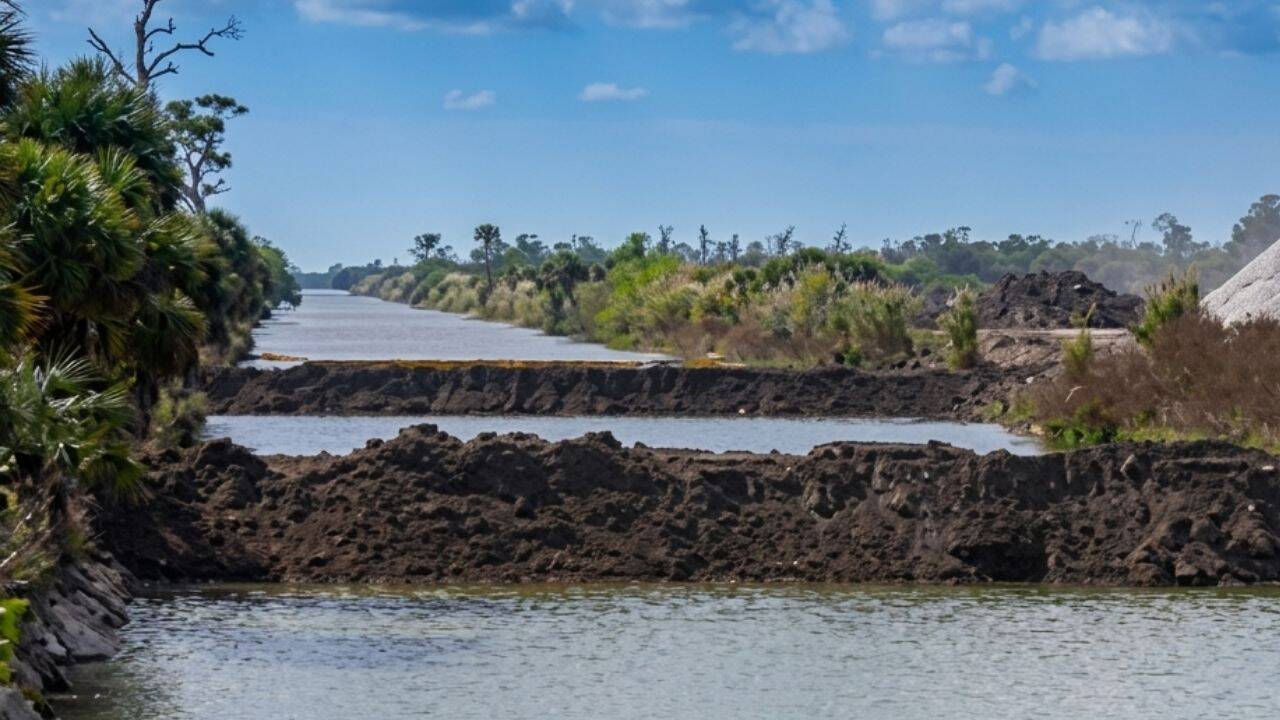 Florida Restores 55,000 Acres of Wetlands