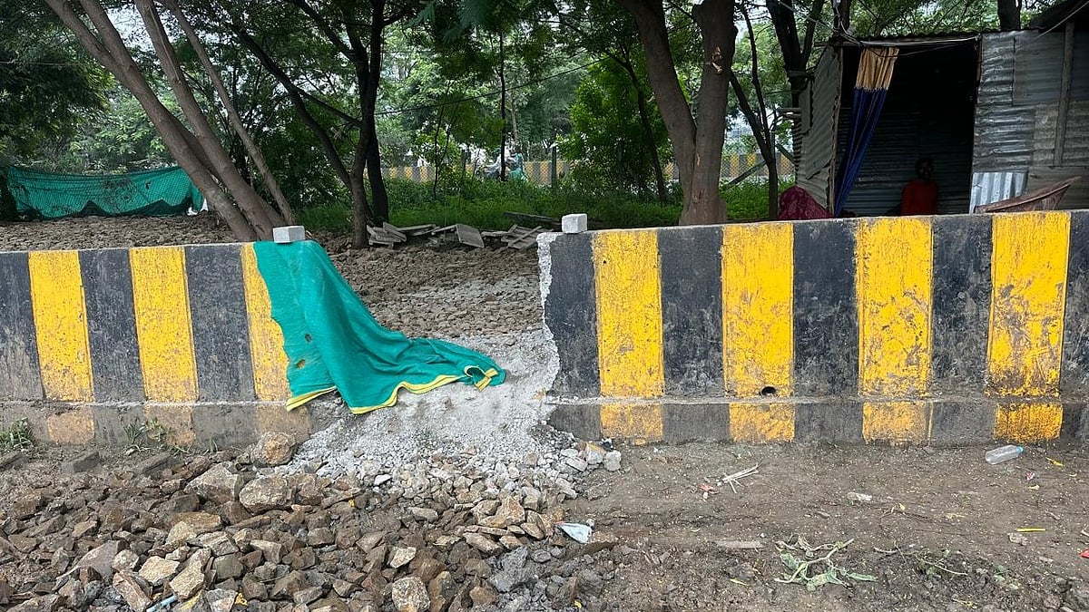 Indore Imposes ₹10 Lakh Fine For Damaging Green Belt