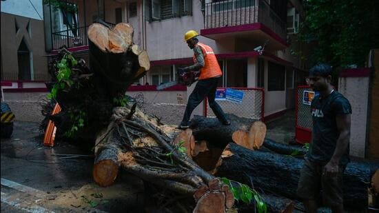 BMC Slams Gardens Department Over Monsoon Deaths