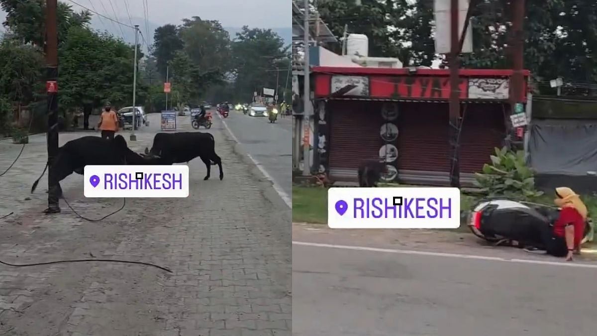 Bull Charges Across Road, Knocks Woman Off Scooter in Rishikesh
