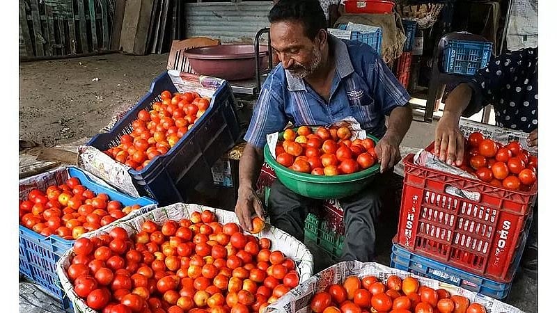 Tomato Prices Fall to ₹3-5 Per Kg in Indore